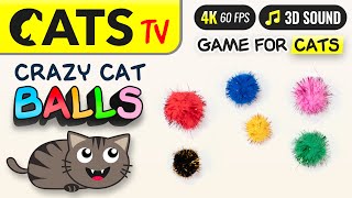 CAT TV  Crazy Balls 🙀🎶 For cats to play 📺😻 4K 60FPS [upl. by Aiciled96]