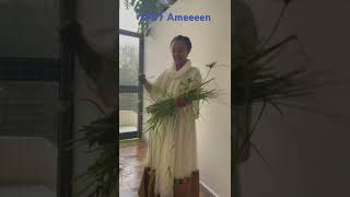 ቅድስናለእር [upl. by Lauraine]