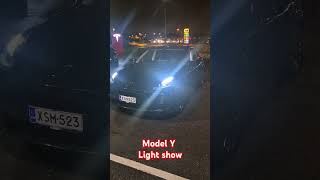 Tesla Light show automobile tesla lightshow modely model3 [upl. by Tegirb]