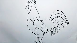 How to draw a rooster drawing easy step by step drawing [upl. by Alyac]