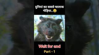 The worlds smartest wolf  movie explained in hindi shorts ytshorts [upl. by Chloe480]