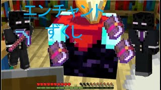 【マイクラ】 つるはしをエンチャント ２回目で・・ [upl. by Werd935]