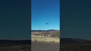 Apache Helicopter 🚁 on the move short helicopter [upl. by Acinorrev]