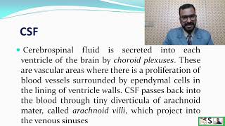 Ventricles of Brain  cerebrospinal fluid and functions of CSF [upl. by Luke]