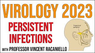 Virology Lectures 2023 17 Persistent infections [upl. by Larimer]