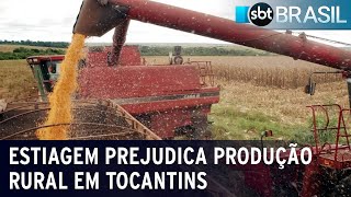 Estiagem prejudica produção rural em Tocantins  SBT Brasil 130124 [upl. by Alisa605]