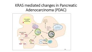 How KRAS mutation help Pancreatic Cancer cell development Code 594 [upl. by Ylyl]