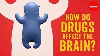 How do drugs affect the brain  Sara Garofalo [upl. by Aisaim]