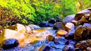 Mountain Stream amp Birdsong  Relaxing Nature Sounds for Deep Relaxation [upl. by Paquito]