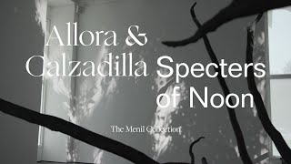 quotAllora amp Calzadilla Specters of Noonquot at the Menil Collection [upl. by Richers185]