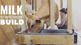 How To Make a Cow Head Gate for a Milking Stanchion [upl. by Beattie]