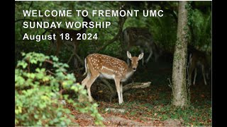 Fremont UMC Live Stream [upl. by Swihart]