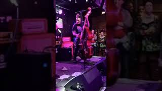 Dead bollox  Navarro live at Psychobilly Freakout 2024 [upl. by Japeth]