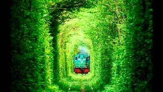 Tunnel Of Love in Ukraine  Place You Must Visit HD 2024 HD [upl. by Dustie869]