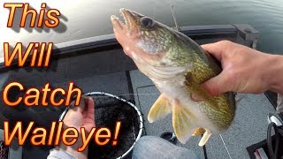 Walleye Fishing  Surefire Technique For Catching Spring Walleye In 2018 [upl. by Aynwad]