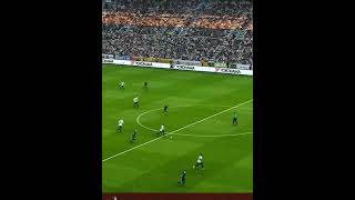 Tottenham Hotspur vs Qarabag 30 • Europa League Highlights amp All Goals 2024 shorts [upl. by Nylarac257]