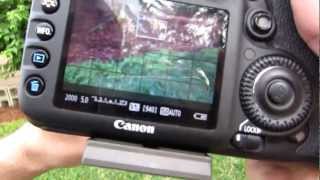 Canon EF 28135mm f3556 IS Test Footage and Review [upl. by Euqirat417]