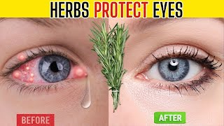 Top 10 Herbs That Protect Eyes and Repair Vision [upl. by Ellevehs]