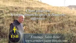 Offertoire Domine in auxilium 16e dimanche après la Pentecôte  Ermitage SaintBède Ciné Art Loisir [upl. by Ahsetra]