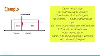 Ayudantía Integrativa ÁcidoBase e Hidroelectrolítico [upl. by Akinahc98]