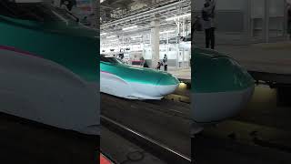 Why Japan Has the Worlds Best Trains My Love for the Shinkansen [upl. by Eicnan]