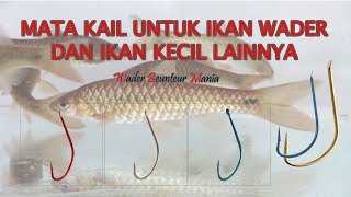 Memilih mata kail untuk mancing ikan wader terbaik Puntius binotatus  Rasbora micro fishing [upl. by Valaree263]