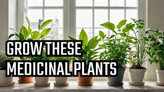 Top 10 Medicinal Plants You Can Grow at home [upl. by Manton]