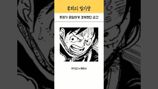 원피스 루피가 유일하게 경계했던 순간 [upl. by Naraa]