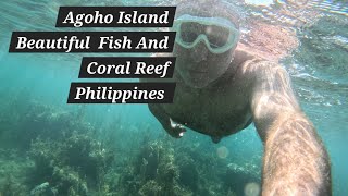 Agoho Island 🏝 Philippines Come Enjoy The Incredible Beauty 😃 [upl. by Luht440]