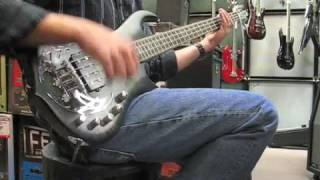 Traben Array Bass Pickup Settings Info [upl. by Cleodell]