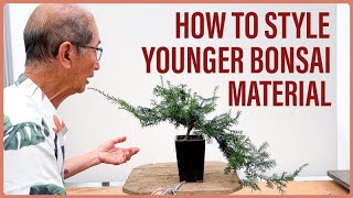 How to Style Younger Bonsai Material [upl. by Albric]