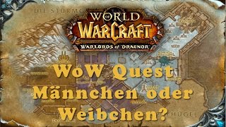 WoW Quest Männchen oder Weibchen [upl. by Ybhsa645]