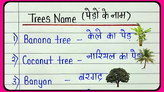 20 Trees name in English and Hindi  पेड़ों का नाम  Learn different types with of treee name [upl. by Quartis]