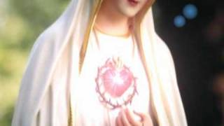 SSPX Rosary Crusade [upl. by Lenra]