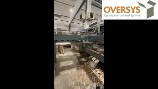 VIDEO OVERSYS U70201024 CURIONIPIEMME PRINTCUT 90 3 COLORS FLEXO FOLDER GLUER [upl. by Ohploda]