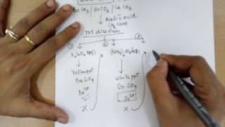 Salt analysis part  4 cations group 5 amp6 [upl. by Fontana]