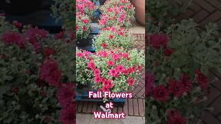 Fall Flowers at Walmart  Beautiful Flowers Collection at Fresh Farms shorts [upl. by Ahsaei]