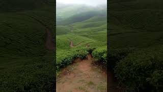 Jeep Safari kolukkumalai song [upl. by Jesselyn804]