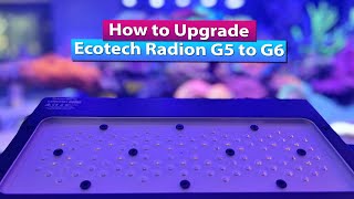 How to Upgrade Ecotech Radion G5 to G6 XR15 or XR30 Pro and Blue [upl. by Jordans]