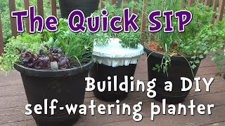 5 minute DIY Self Watering Container Garden  perfect for beginner gardeners and small spaces [upl. by Eecyac584]