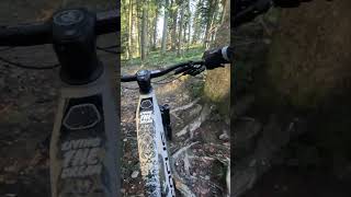 Waldegg Trail🤙 mtb viral viralshorts video shorts short shortvideo shortsvideo viralvideo [upl. by Atiekram]