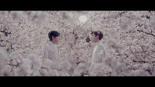 東方神起  「サクラミチ」Music Video（Full Version） [upl. by Engelhart]