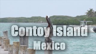 Contoy Island Isla Contoy Mexico HD [upl. by Neira]