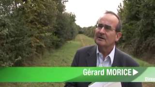 Une agriculture moins polluante pour leau   ARVALISinfosfr [upl. by Ranique]