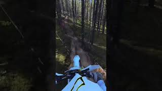 Single Trails in Valemount husqvarna te3001 enduro valemount dirtbike [upl. by Erdnaet]