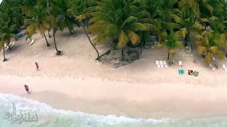 Abanico Beach at Saona Island Dominican Republic [upl. by Mcmurry]