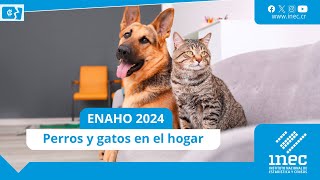 INEC Costa Rica – Encuesta Nacional de Hogares 2024 – Especial de perros y gatos como mascotas [upl. by Adnowat]