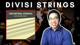 Sonokinetic Orchestral Strings  First Look [upl. by Atirak]