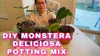 DIY MONSTERA DELICIOSA POTTING MIX NO ROOT ROT POTTING MIX SOIL LESS POTTING MIX [upl. by Anaihk350]