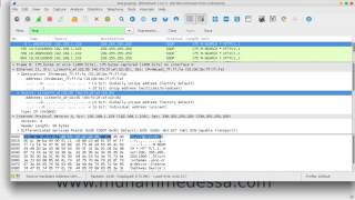 14 Wireshark GUI Discovering amp Arrangement [upl. by Origra236]